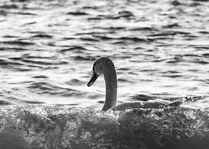 Hébergement de vacances Familienurlaub Im Hus In De Suenn *