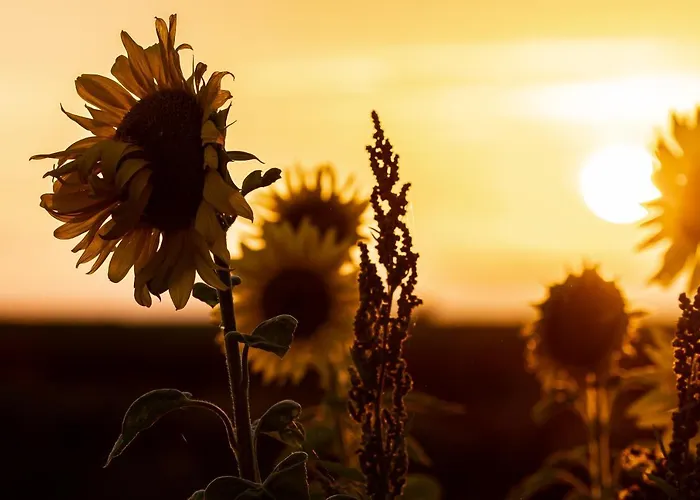 Familienurlaub Im Hus In De Suenn Puddemin